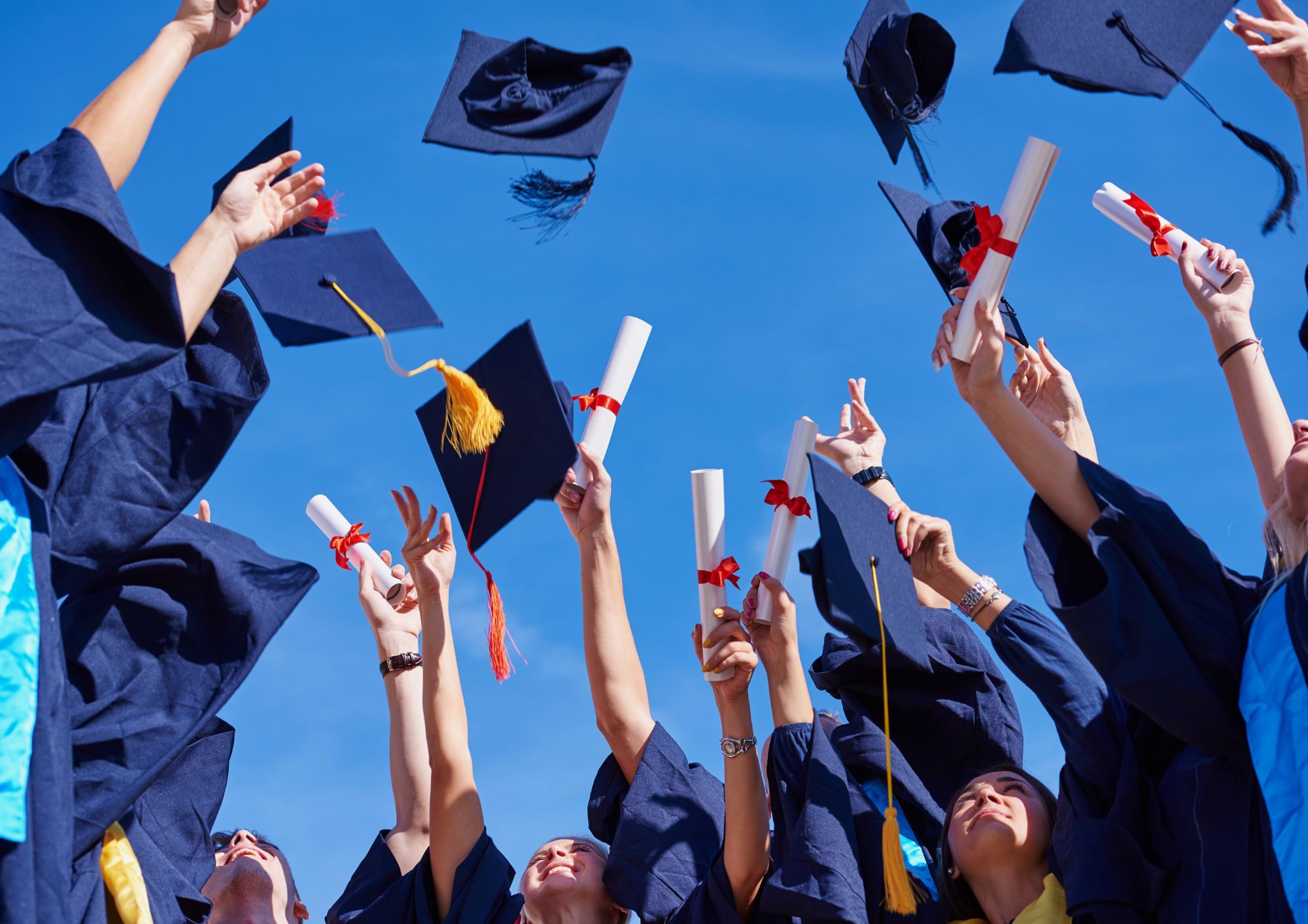 איך בוחרים מה ללמוד